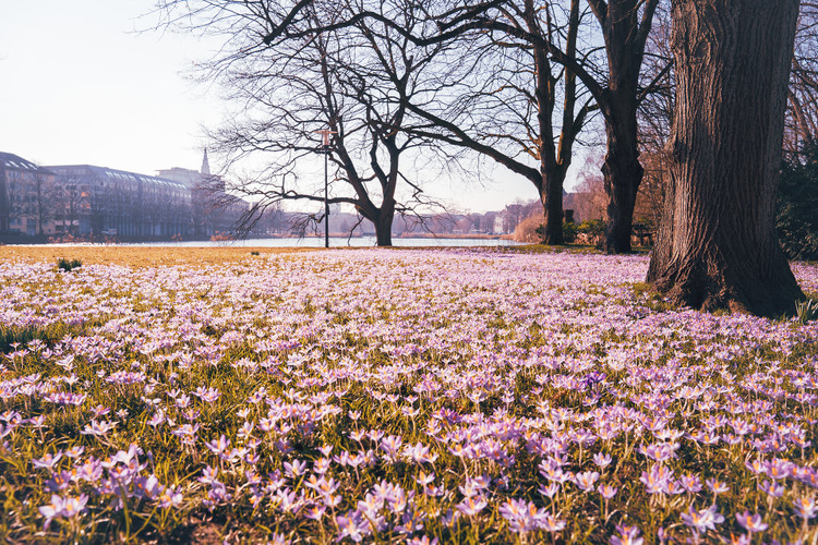  Sightseeing im Frühling<br><br>Erleben Sie den Frühling in Kiel mit spannenden Sightseeing-Angeboten und Ausflugsideen.