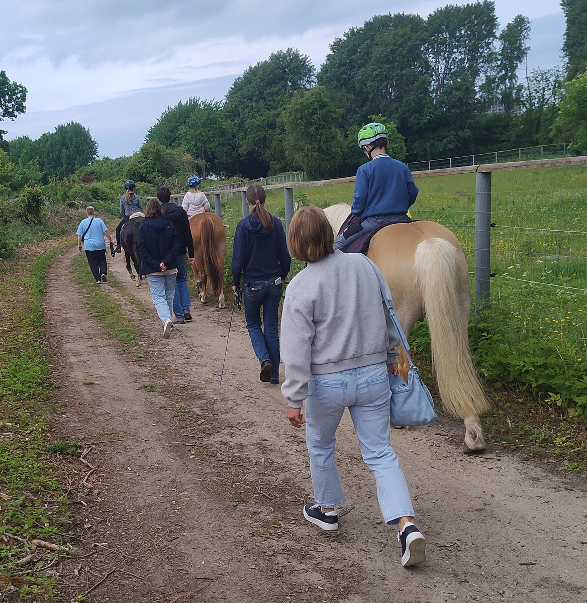 Bild: Geführtes Ponyreiten