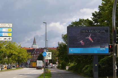 Roadside Screen