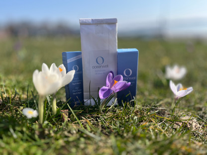 Krokusse mit Oceanwell Produkten