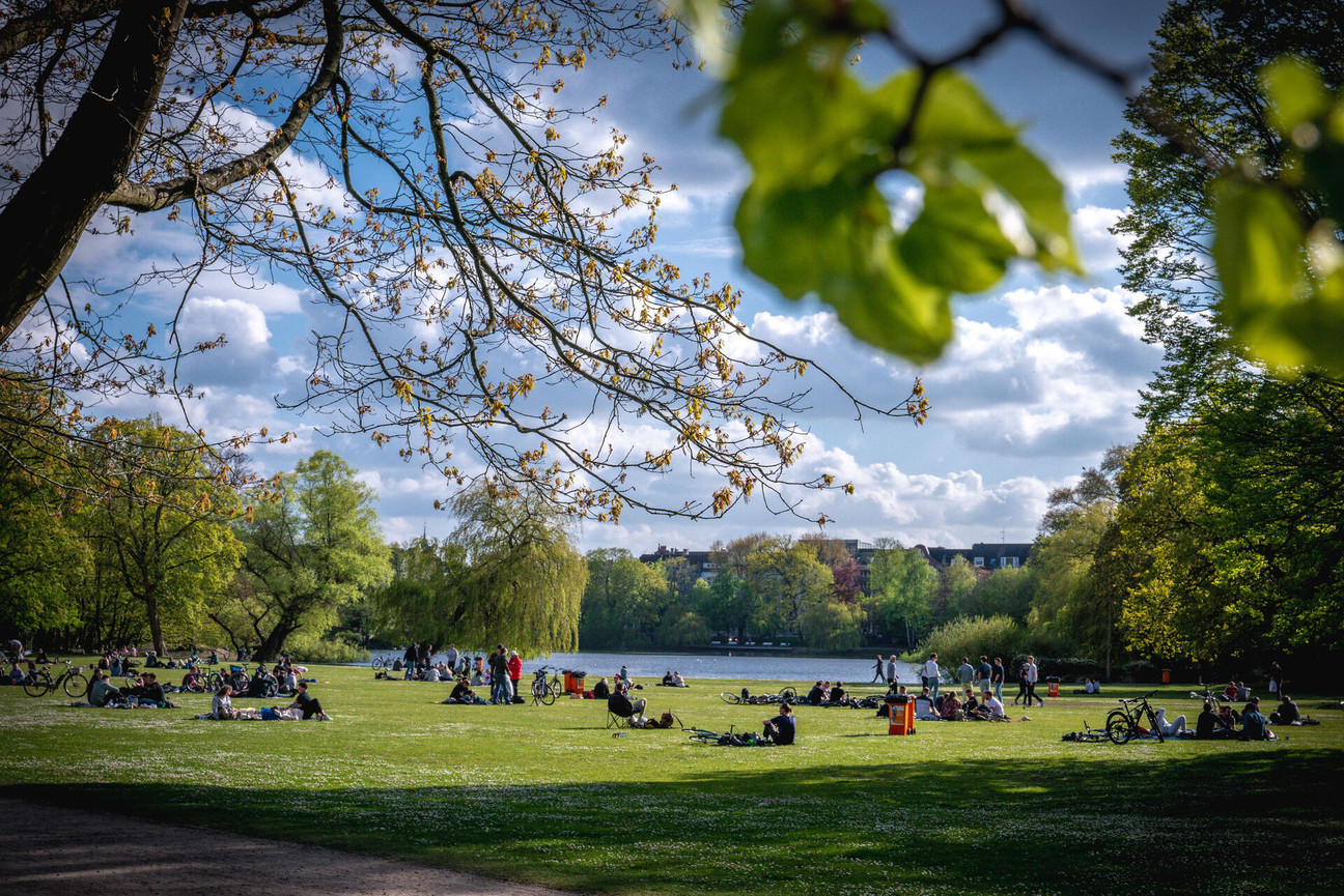Menschen auf der Wiese im Schrevenpark