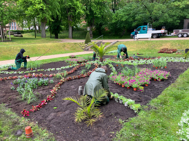 Gärtner*innen legen einen Schaugarten an