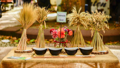 Heu und Trockenblumen beim Bauernmarkt