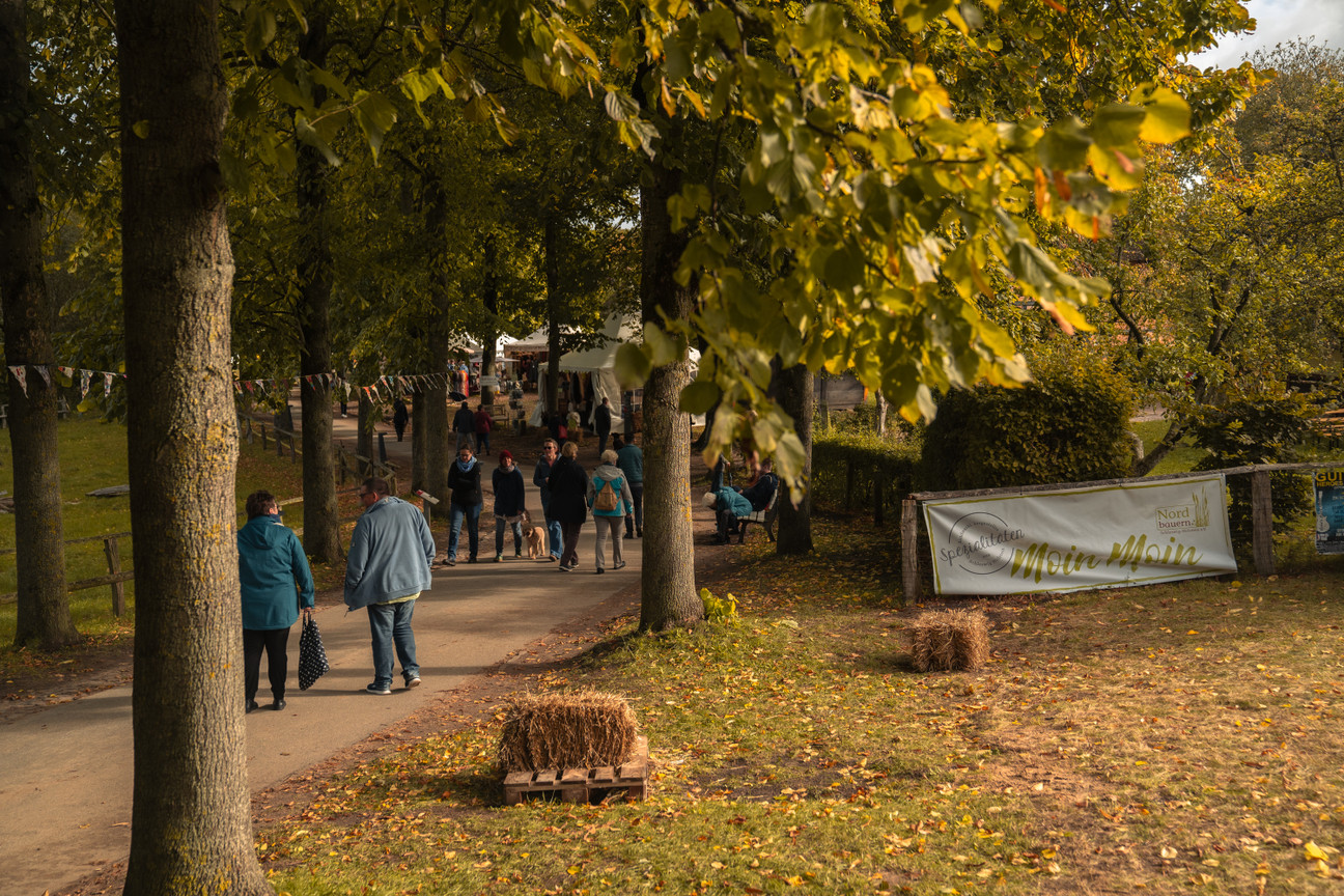 Freilichtmuseum Molfsee