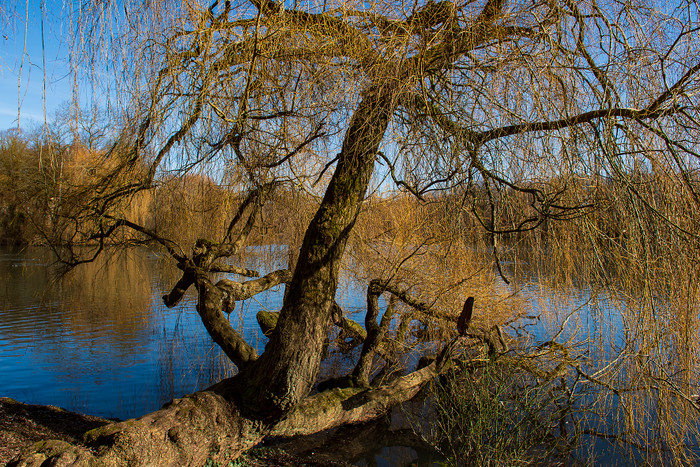 "Märchenhafter Schrevenpark"