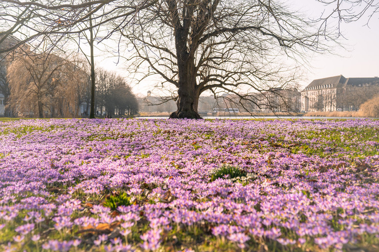  Sightseeing im Frühling<br><br>Erleben Sie den Frühling in Kiel mit spannenden Sightseeing-Angeboten und Ausflugsideen.