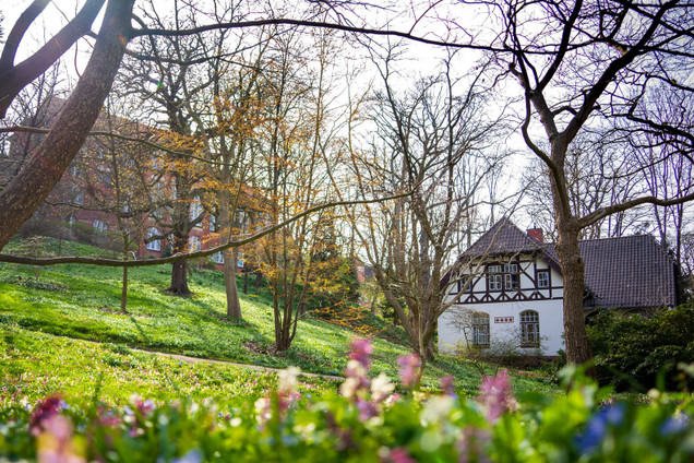 Alter Botanischer Garten, Wiese und Haus