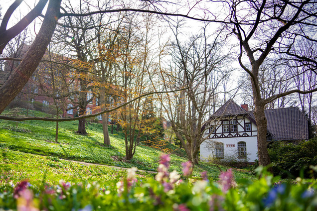 Botanischer Garten