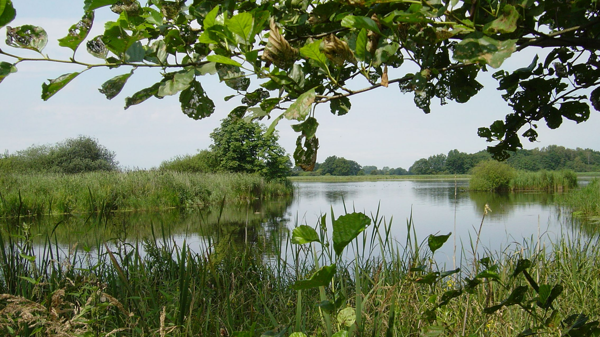 Bild: Naturpark Westensee