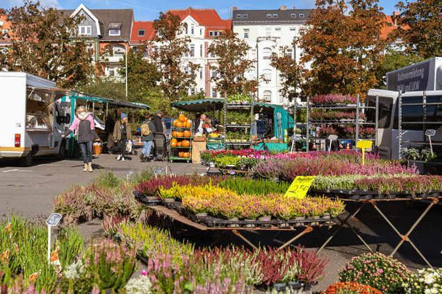 Markt am Bücherplatz