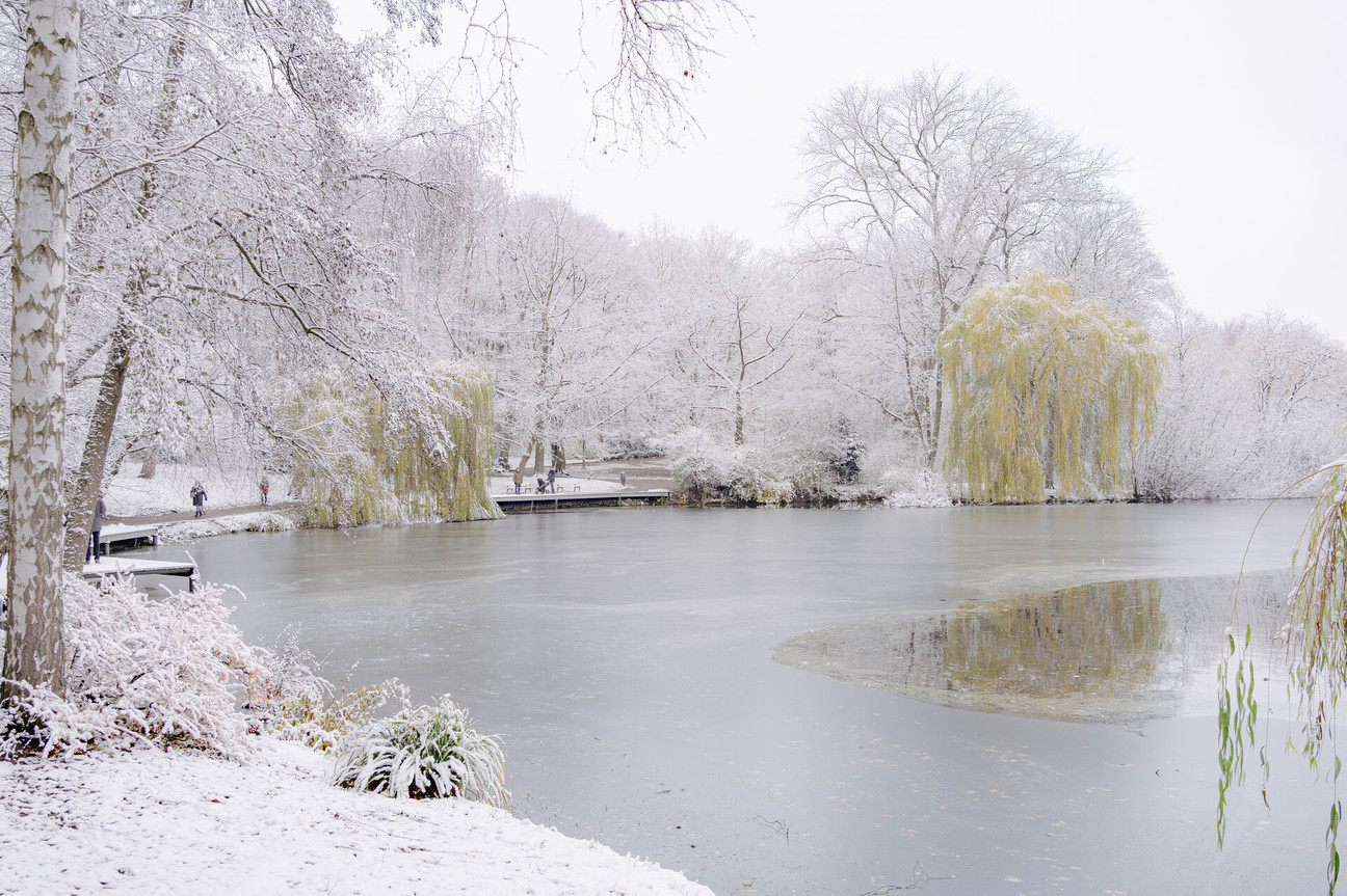 Schrevenpark im Winter