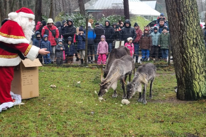 Weihnachtsmann im Tierpark Neumünster