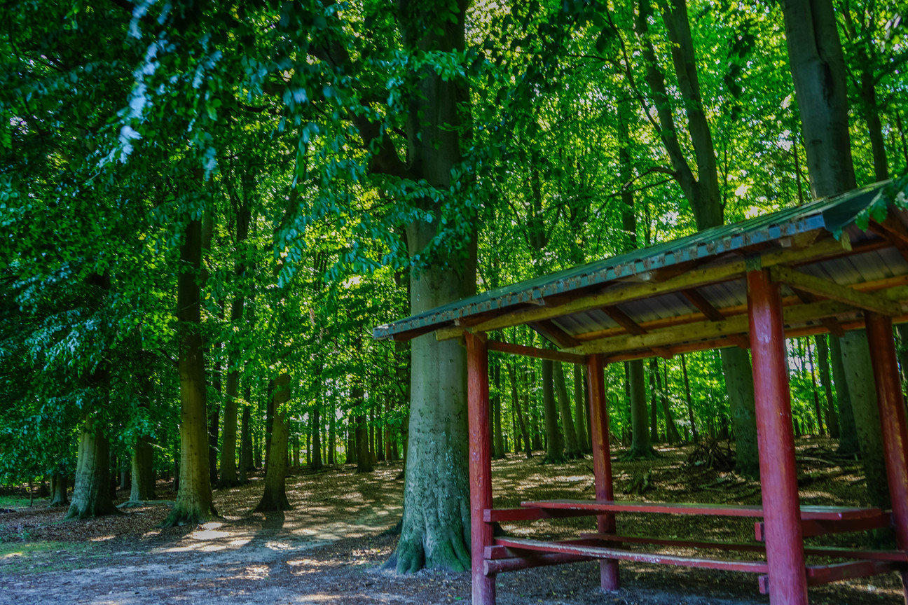 Tiergehege Tannenberg