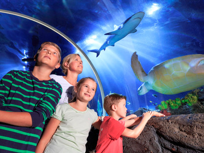 Familie im Sea Life Timmendorfer Strand