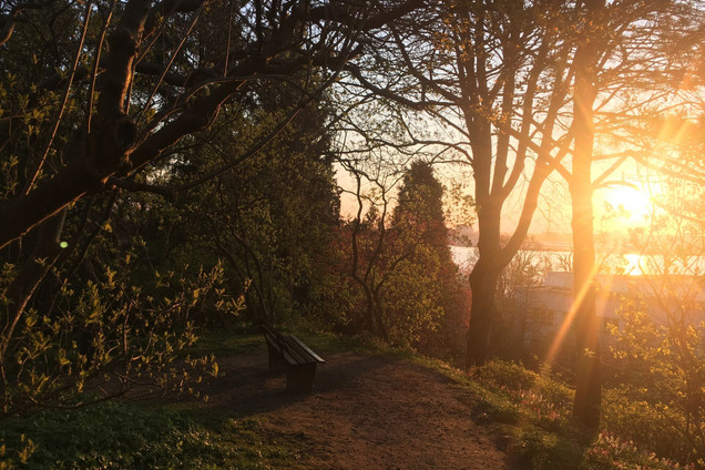 Botanischer Garten