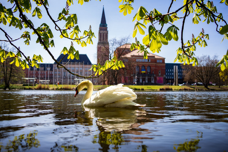  Sightseeing im Frühling<br><br>Erleben Sie den Frühling in Kiel mit spannenden Sightseeing-Angeboten und Ausflugsideen.