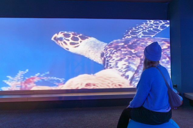 Frau im Sealevel vor der Videowand