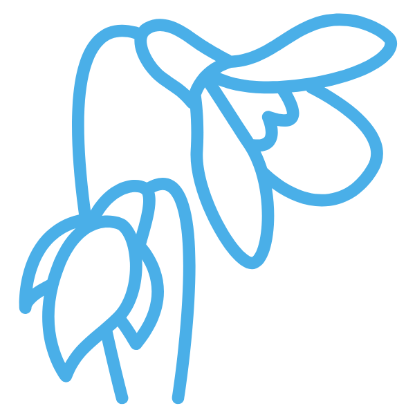 zum 8x Kiel blüht auf!