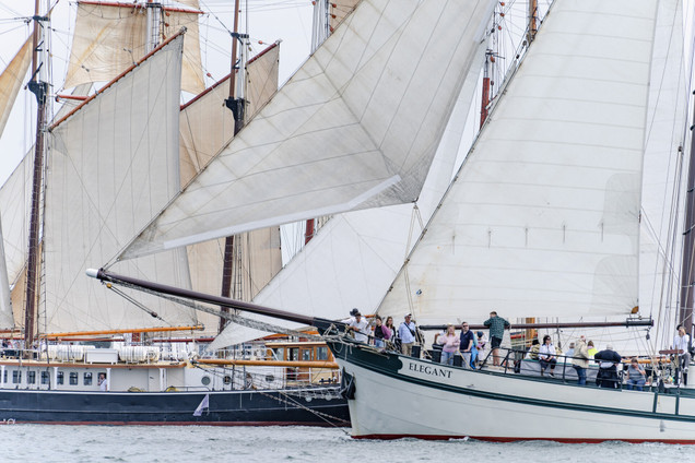 Traditionssegler auf der Kieler Woche