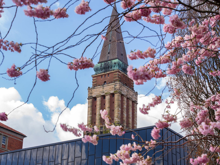  <a href="/en/explore-the-kiel-fjord/sigthseeing/your-perfect-day-in-kiel">As a family, in bad weather or with little time: Here you will find suggestions for your perfect Kiel day!</a>