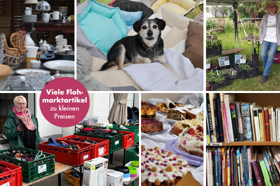 Flohmarkt Tierheim Uhlenkroog