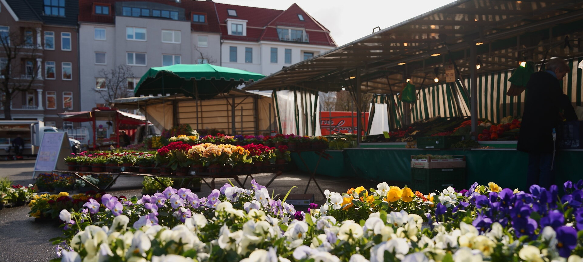 Blumen auf dem Blücherplatz