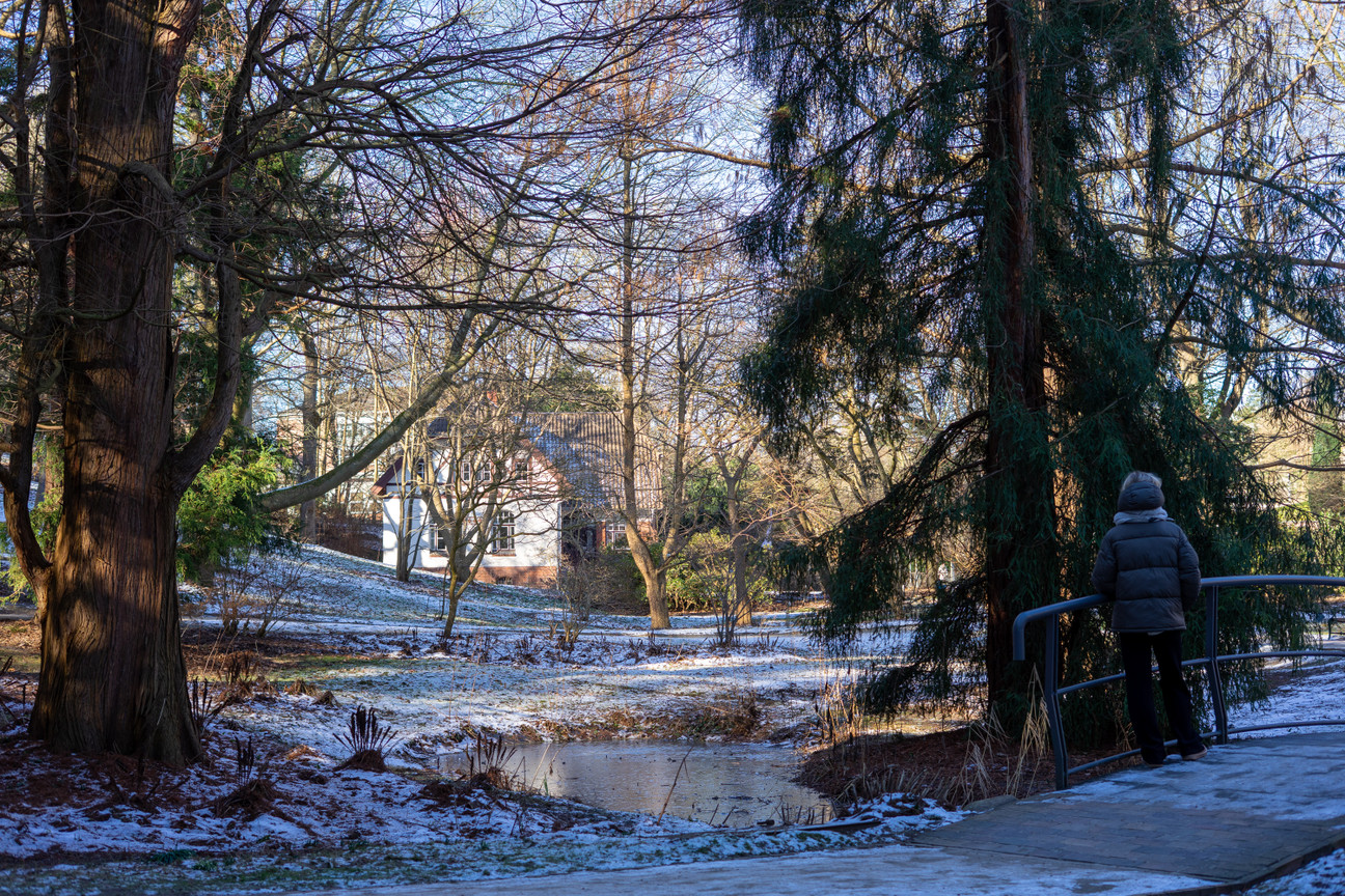 Winter im alten botanischen Garten