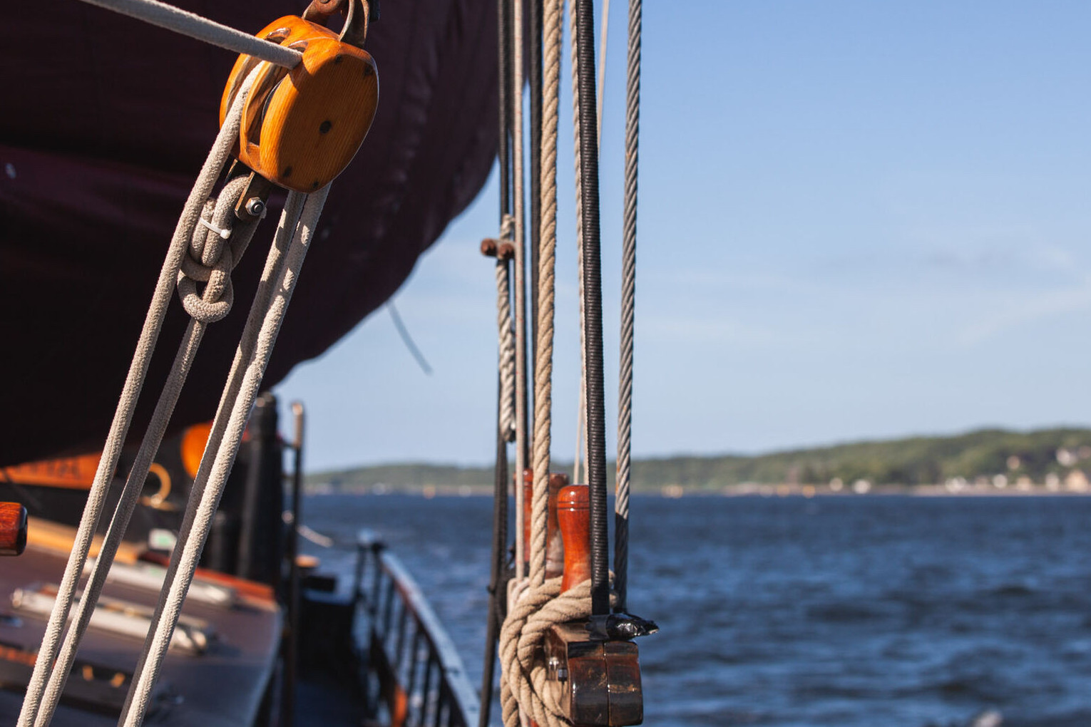  <a href="/buchen/schiffstouren">Buchen Sie Ihren ganz persönlichen Erlebnistörn! Von einer Fahrt über den Nord-Ostsee-Kanal über einen Törn zur Kieler Woche, sichern Sie sich Ihren Platz!</a>