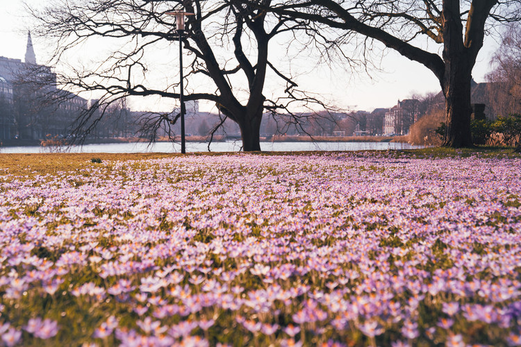  Sightseeing in spring<br>&nbsp; &nbsp;<br>Experience spring in Kiel with exciting sightseeing offers and excursion ideas.